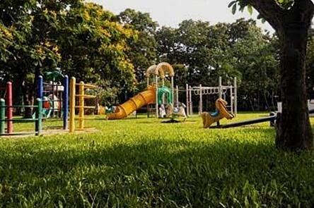 Recreational, Social & Creative Activities